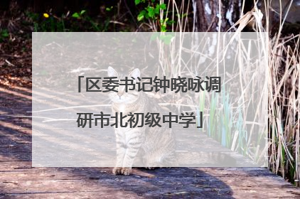 区委书记钟晓咏调研市北初级中学