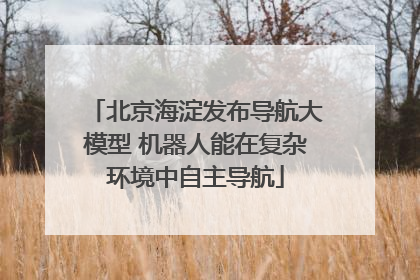北京海淀发布导航大模型 机器人能在复杂环境中自主导航