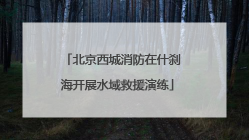 北京西城消防在什刹海开展水域救援演练