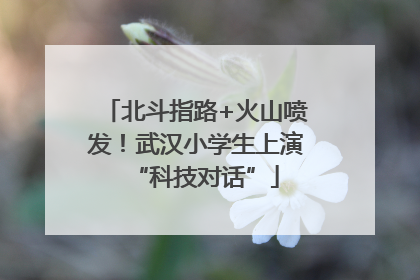 北斗指路+火山喷发！武汉小学生上演“科技对话”