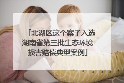 北湖区这个案子入选湖南省第三批生态环境损害赔偿典型案例
