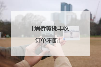 埇桥黄桃丰收 订单不断
