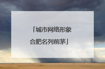 城市网络形象合肥名列前茅