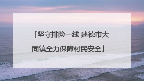 坚守排险一线 建德市大同镇全力保障村民安全