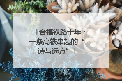 合福铁路十年：一条高铁串起的“诗与远方”