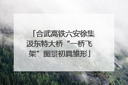 合武高铁六安徐集汲东特大桥“一桥飞架”图景初具雏形