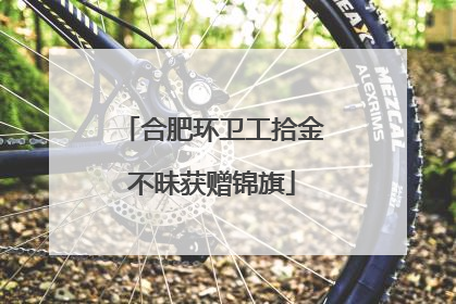 合肥环卫工拾金不昧获赠锦旗