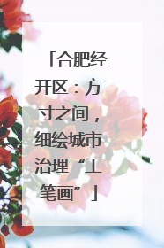 合肥经开区：方寸之间，细绘城市治理“工笔画”