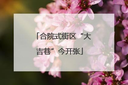 合院式街区“大吉巷”今开张