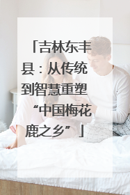 吉林东丰县：从传统到智慧重塑“中国梅花鹿之乡”