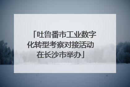 吐鲁番市工业数字化转型考察对接活动在长沙市举办
