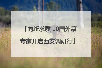 向新求质 10国外籍专家开启西安调研行