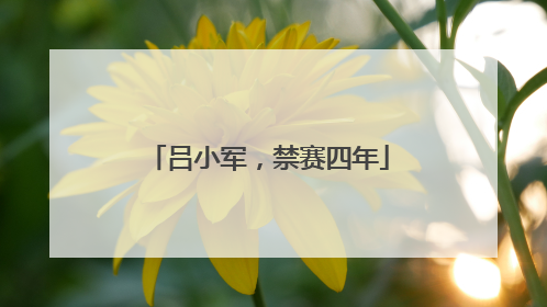 吕小军，禁赛四年