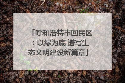 呼和浩特市回民区：以绿为底 谱写生态文明建设新篇章