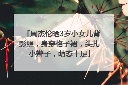 周杰伦晒3岁小女儿背影照，身穿格子裙，头扎小辫子，萌态十足