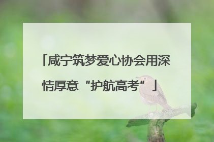 咸宁筑梦爱心协会用深情厚意“护航高考”