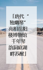唐代“独幽琴”亮相岳阳楼博物馆 千年琴韵洞庭湖畔苏醒