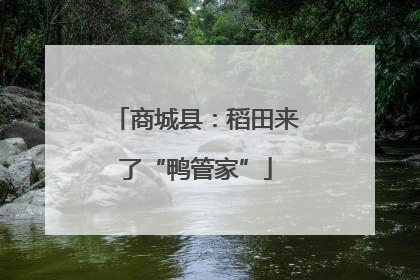 商城县：稻田来了“鸭管家”