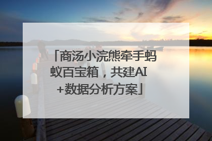 商汤小浣熊牵手蚂蚁百宝箱，共建AI+数据分析方案