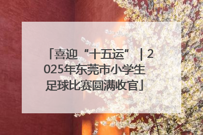 喜迎“十五运”｜2025年东莞市小学生足球比赛圆满收官