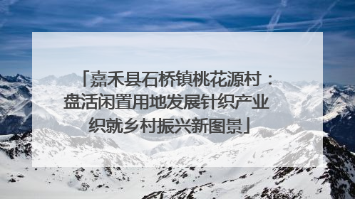 嘉禾县石桥镇桃花源村：盘活闲置用地发展针织产业 织就乡村振兴新图景