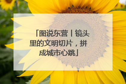 图说东营丨镜头里的文明切片，拼成城市心跳