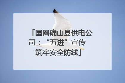 国网确山县供电公司：“五进”宣传 筑牢安全防线