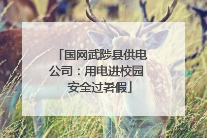 国网武陟县供电公司：用电进校园  安全过暑假