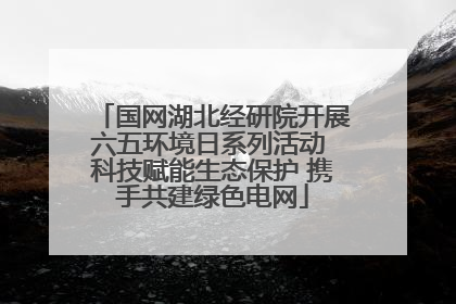 国网湖北经研院开展六五环境日系列活动 科技赋能生态保护 携手共建绿色电网