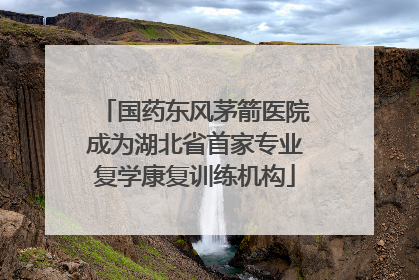 国药东风茅箭医院成为湖北省首家专业复学康复训练机构