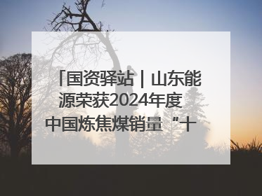 国资驿站｜山东能源荣获2024年度中国炼焦煤销量“十强”；全国首例铁路盖上智慧物流园钢结构主体完工