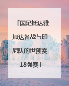 国足抵达雅加达备战与印尼队的世预赛18强赛