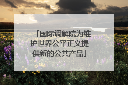 国际调解院为维护世界公平正义提供新的公共产品