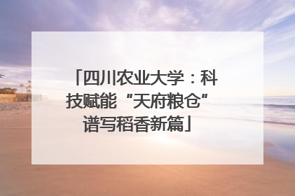 四川农业大学：科技赋能“天府粮仓”谱写稻香新篇