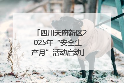 四川天府新区2025年“安全生产月”活动启动
