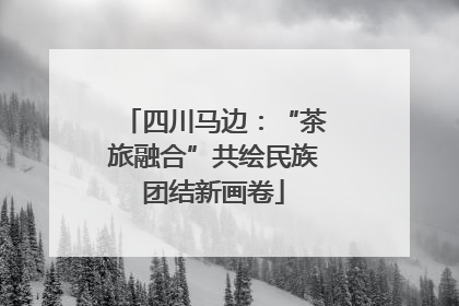 四川马边：“茶旅融合”共绘民族团结新画卷
