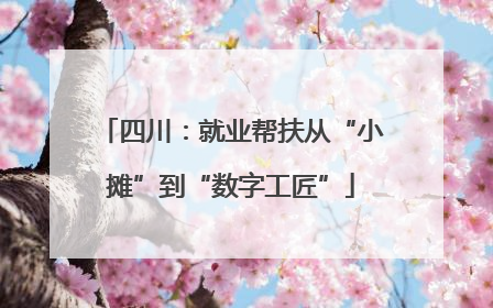 四川：就业帮扶从“小摊”到“数字工匠”