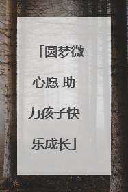圆梦微心愿 助力孩子快乐成长