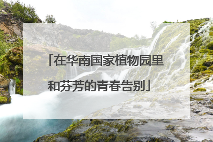 在华南国家植物园里和芬芳的青春告别