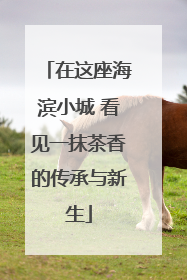 在这座海滨小城 看见一抹茶香的传承与新生