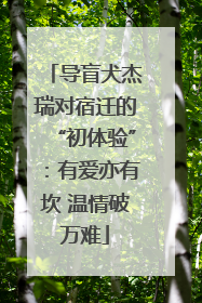 导盲犬杰瑞对宿迁的“初体验”：有爱亦有坎 温情破万难
