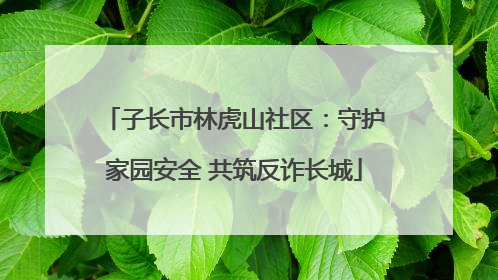 子长市林虎山社区：守护家园安全 共筑反诈长城