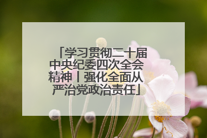 学习贯彻二十届中央纪委四次全会精神丨强化全面从严治党政治责任