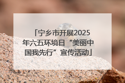 宁乡市开展2025年六五环境日“美丽中国我先行”宣传活动