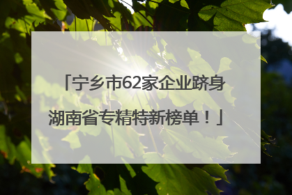 宁乡市62家企业跻身湖南省专精特新榜单！