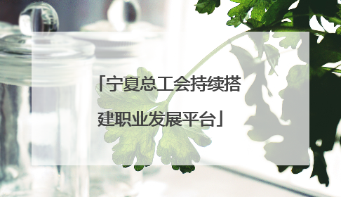 宁夏总工会持续搭建职业发展平台