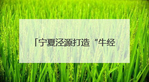 宁夏泾源打造“牛经济”全产业链 品牌价值突破35亿元
