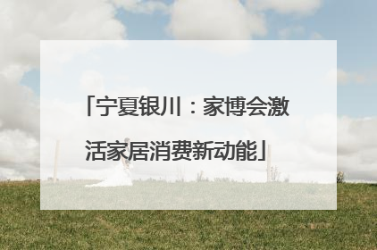 宁夏银川：家博会激活家居消费新动能