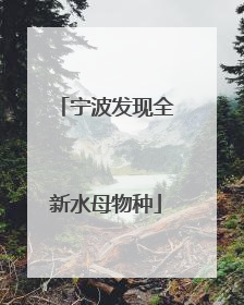 宁波发现全新水母物种