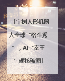 宇树人形机器人全球“格斗秀”，AI“拳王”硬核破圈